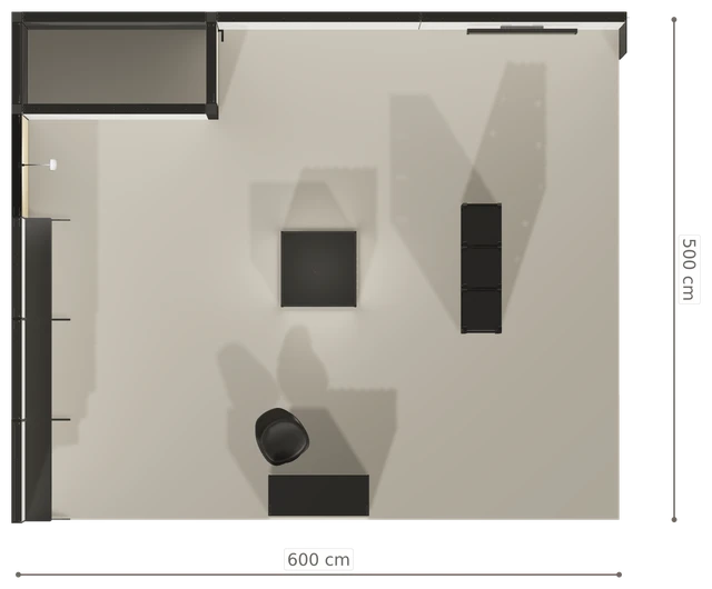 Rzut z góry